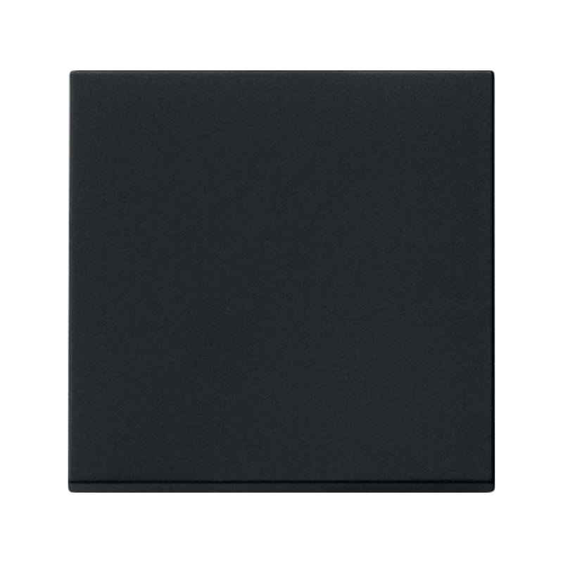 Gira 0296005 Wippe – System 55, 1-fach, schwarz matt