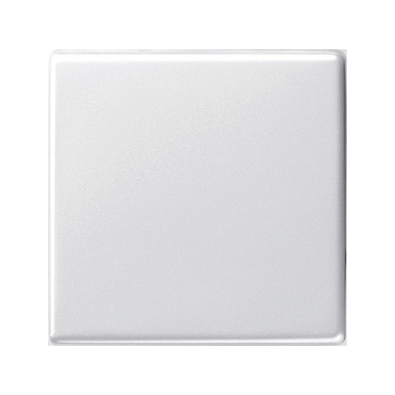 Gira 029603 Wippe – Standard 55 / E2, IP44 kompatibel, reinweiß glänzend
