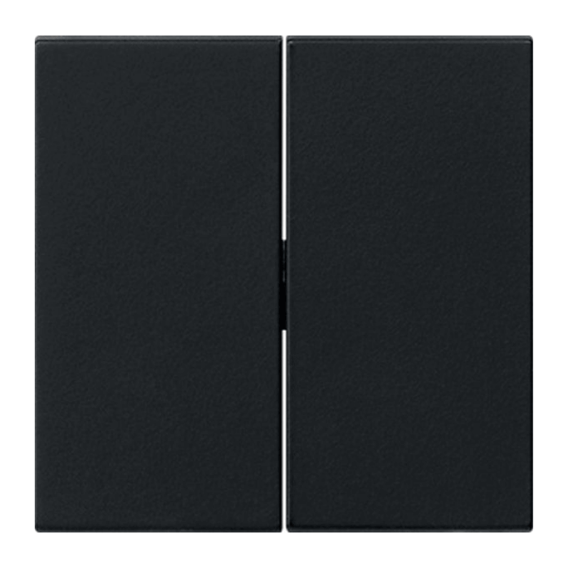 Gira 0915005 Wippe – 2-fach, für Tastschalter, schwarz matt