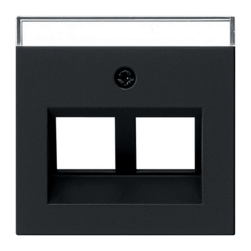 Gira 2640005 Modular-Jack-Abdeckung – System 55, 2-fach mit Schriftfeld, schwarz matt