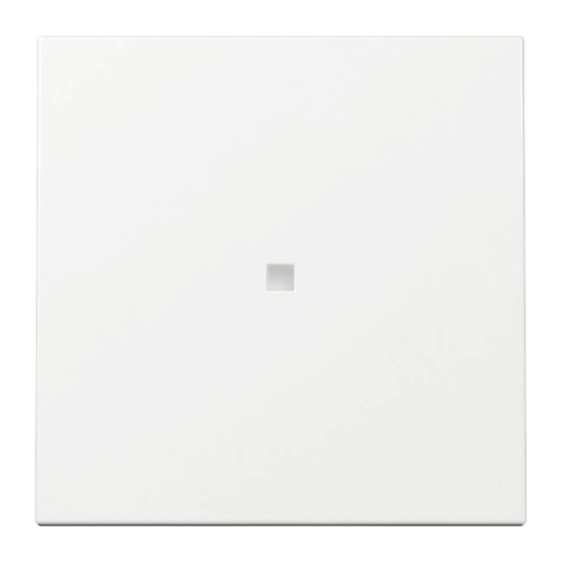 Gira 329003 Kontrollwippe – System 55, 1-fach, reinweiß glänzend