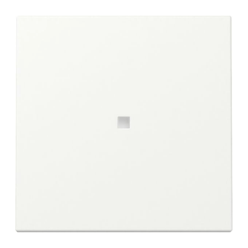 Gira 329027 Kontrollwippe – System 55, 1-fach, reinweiß matt