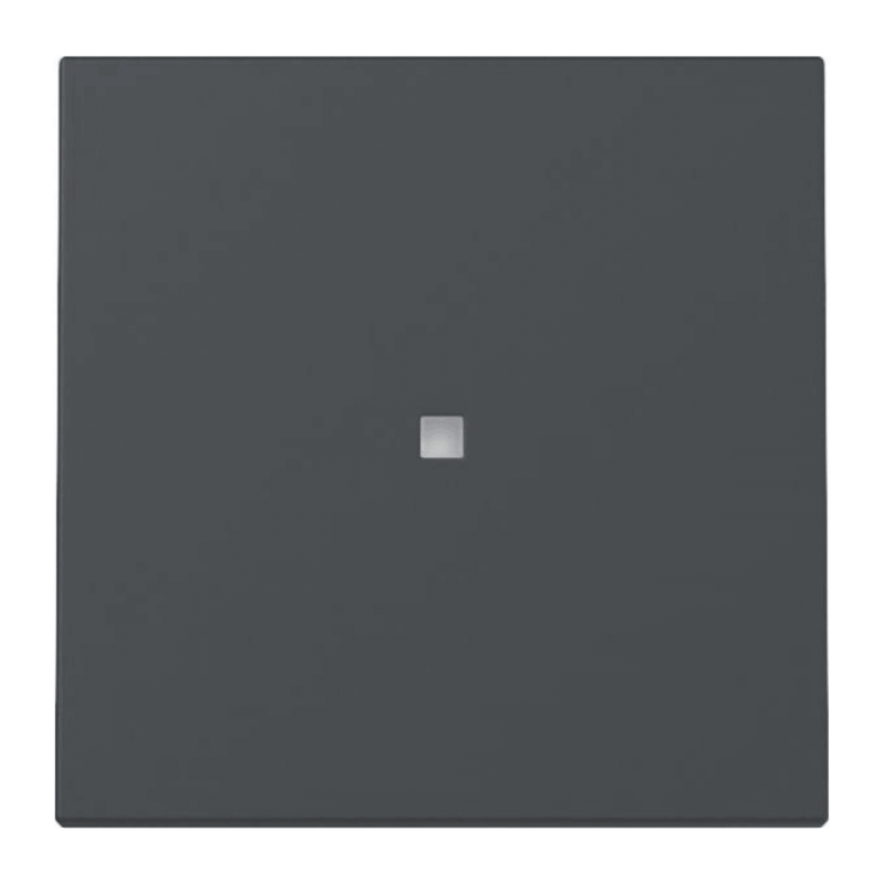 Gira 329028 Kontrollwippe System 55 – 1-fach, anthrazit