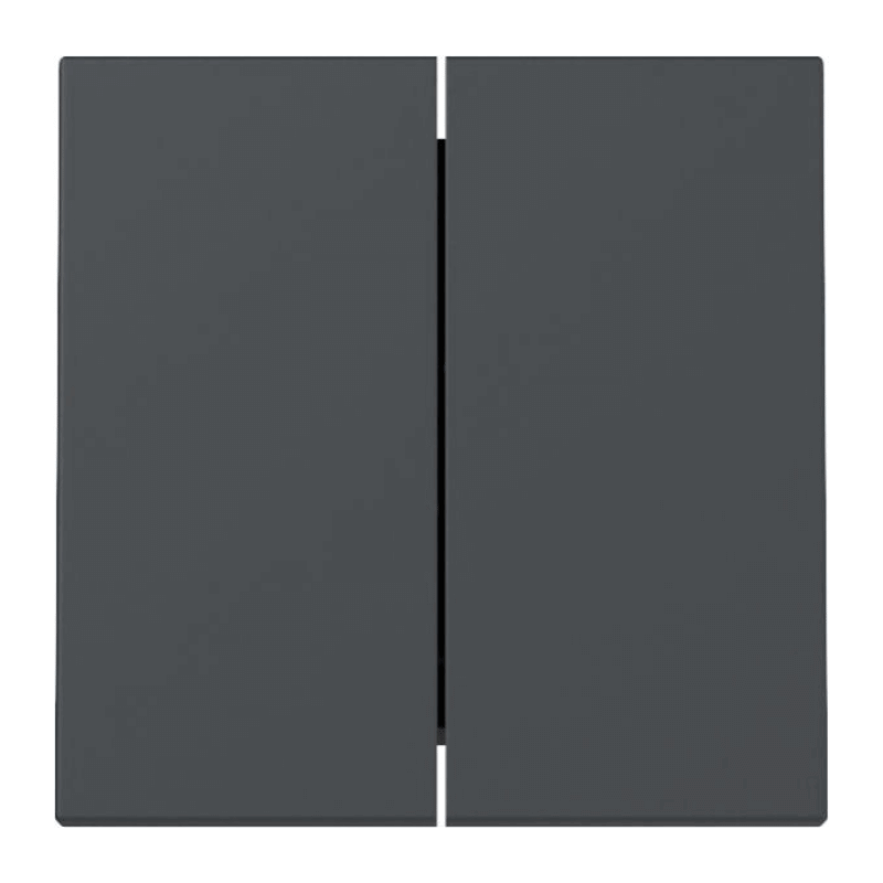 Gira 329528 Wippe – System 55, 2-fach, anthrazit