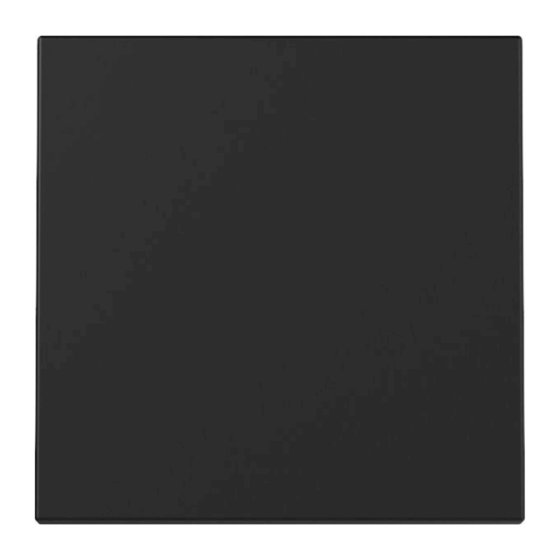 Gira 3296005 Wippe – System 55, 1-fach, schwarz matt