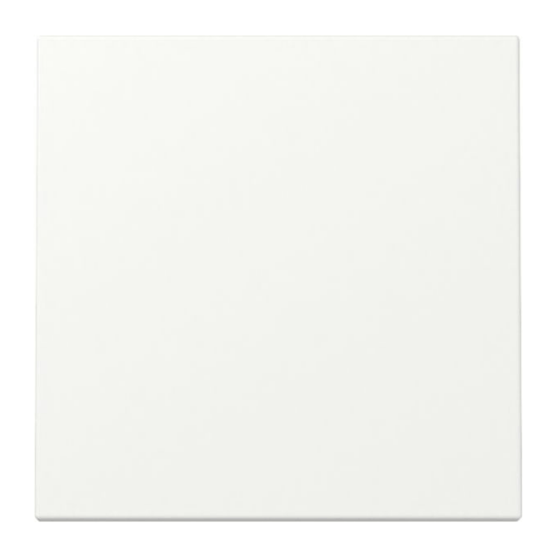 Gira 329627 Wippe – System 55, 1-fach, reinweiß matt