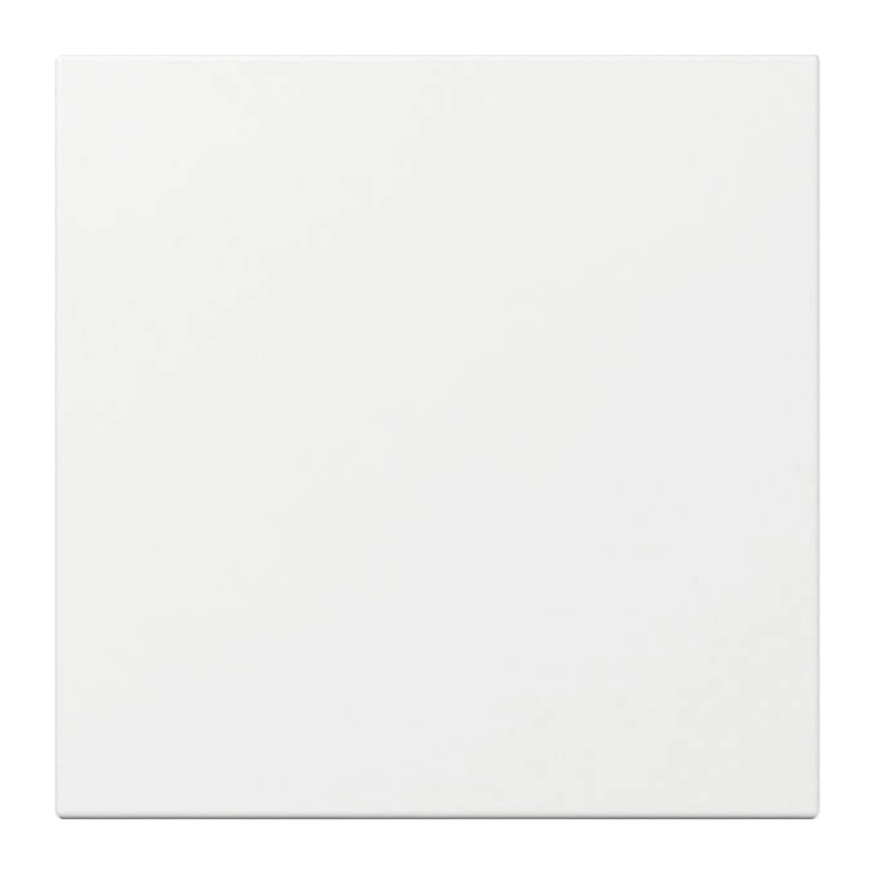 Gira 349603 Wippe – System 55, 1-fach, gerade, reinweiß glänzend