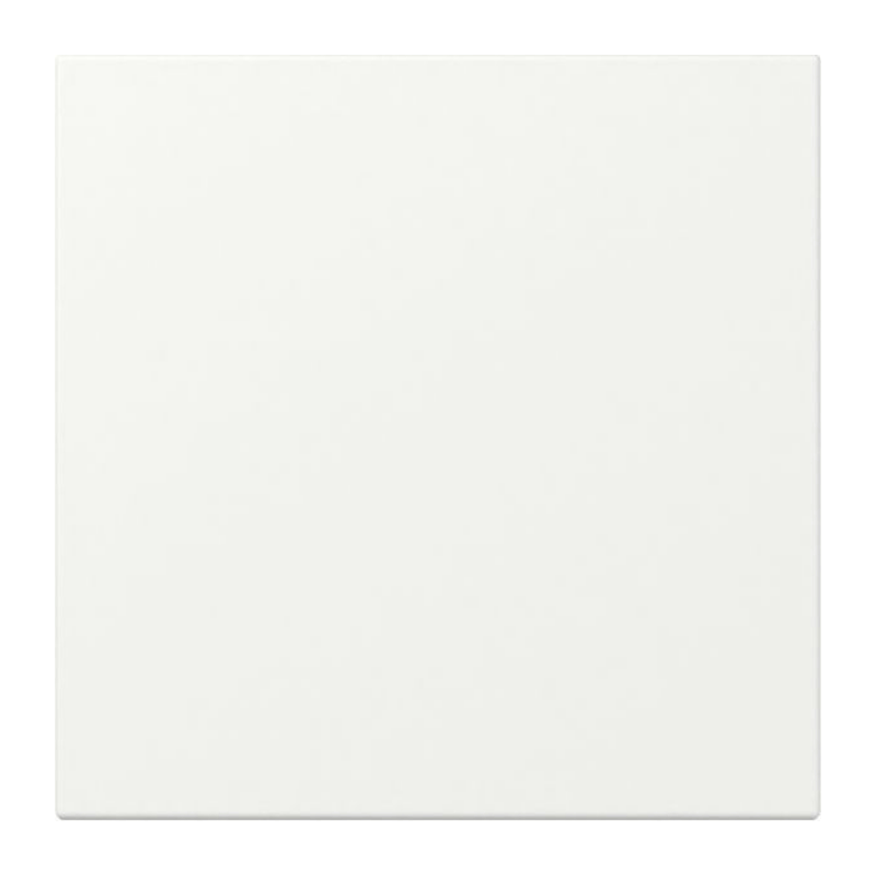 Gira 349627 Wippe – System 55, 1-fach, gerade, reinweiß matt