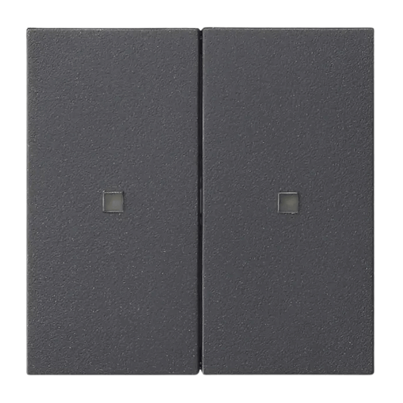 Gira Bedienaufsatz 536928 2-fach mit LEDs Anthrazit System 55 S3000
