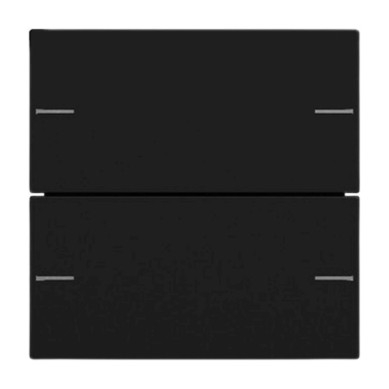 Gira Wippenset für Tastsensor 4 5752005 – System 55, 2-fach, schwarz matt