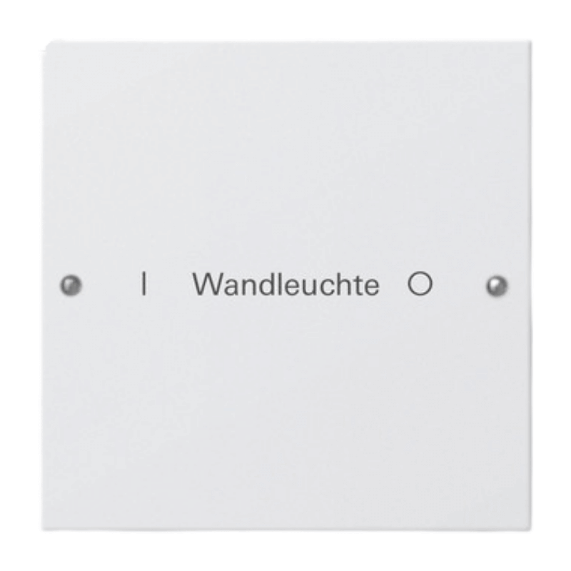Gira TS3-Wippenset für Beschriftungsservice 220127 – System 55, 1-fach, reinweiß seidenmatt