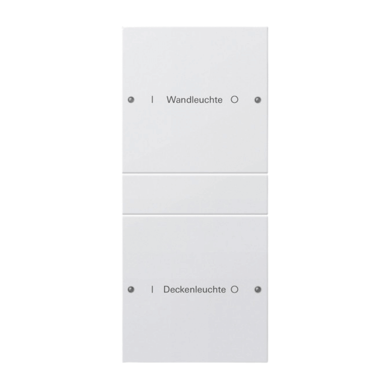Gira TS3-Wippenset für Beschriftungsservice 220203 – System 55, 2-fach (1+1), reinweiß glänzend