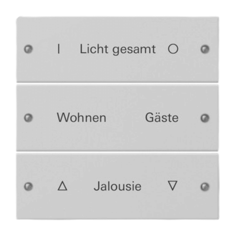 Gira TS3-Wippenset für Beschriftungsservice 2203015 – System 55, 3-fach, grau matt