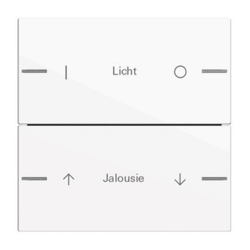 Gira Wippenset für Tastsensor 4 576203 – System 55, 2-fach, individuell, reinweiß glänzend