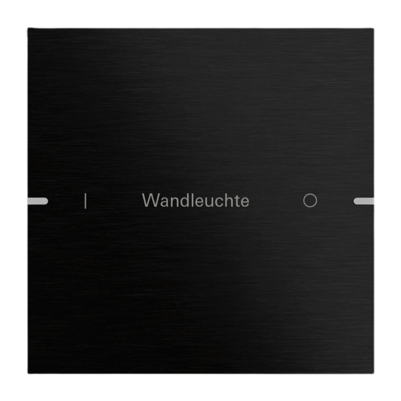 Gira Wippenset für Tastsensor 4 5031126 – System 55, 1-fach, beschreibbar, aluminium schwarz