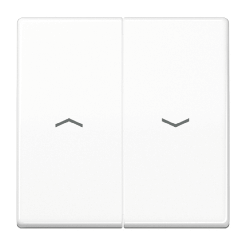 Jung AS591-5PBFWW Wippe – AS, 2-fach Pfeilsymbole, alpinweiß