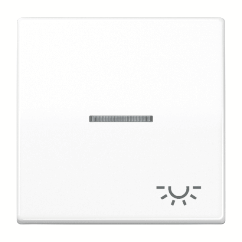 Jung AS591KO5LWW Wippe – AS, 1-fach, mit Lichtleiter-Symbol, Licht, alpinweiß