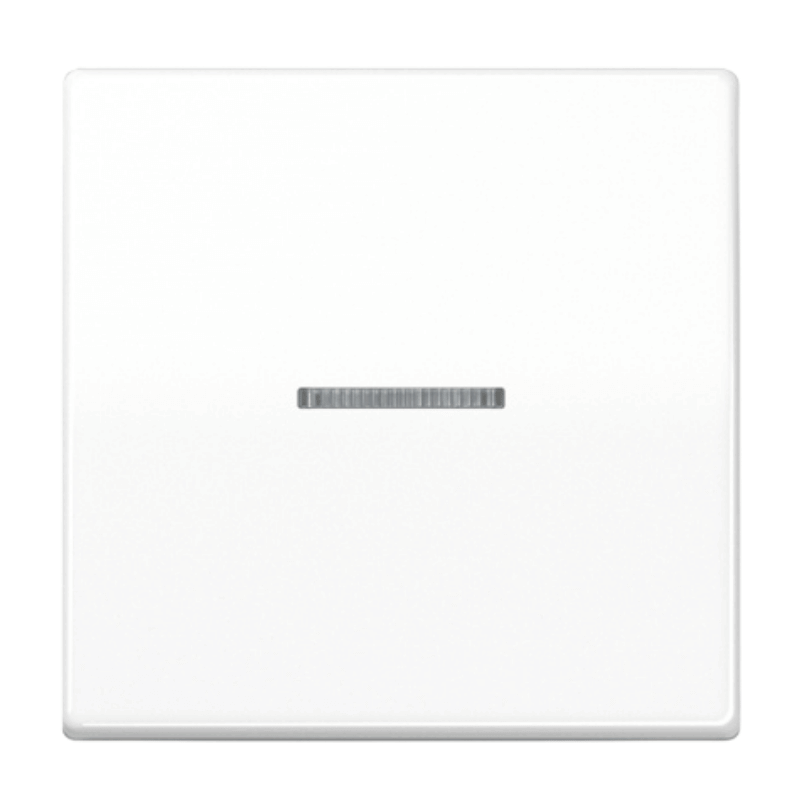 Jung AS591KO5WW Kontrollwippe – AS, 1-fach, alpinweiß