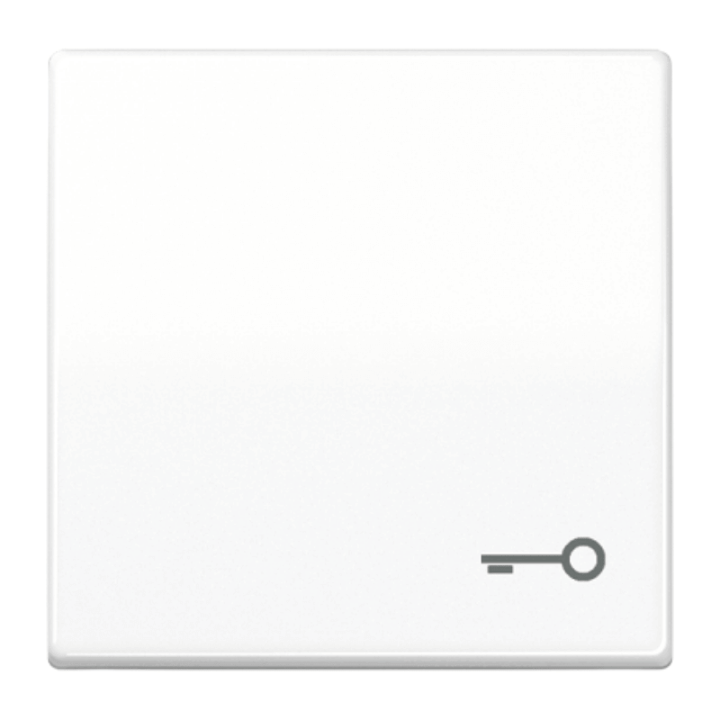 Jung AS591TWW Wippe – AS, Tür-Symbol, alpinweiß