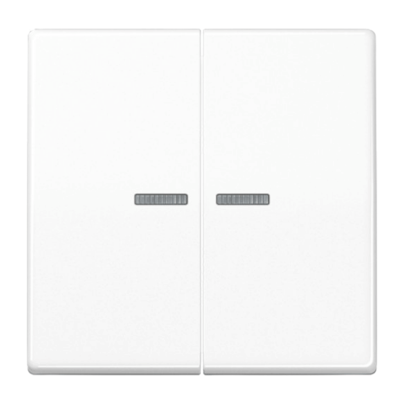 Jung BTAS17102WW Tastsensor – HOME Serie AS, 2-fach, alpinweiß