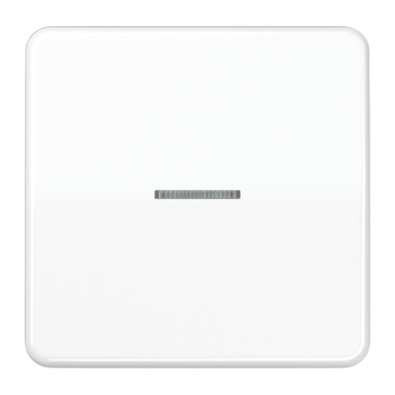 Jung CD590KO5WW Wippe – CD, 1-fach, mit Lichtleiter, alpinweiß