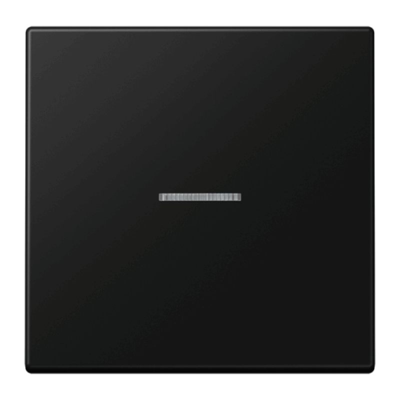 Jung LS990KO5SWM Wippe – LS, 1-fach mit Lichtleiter, graphitschwarz matt