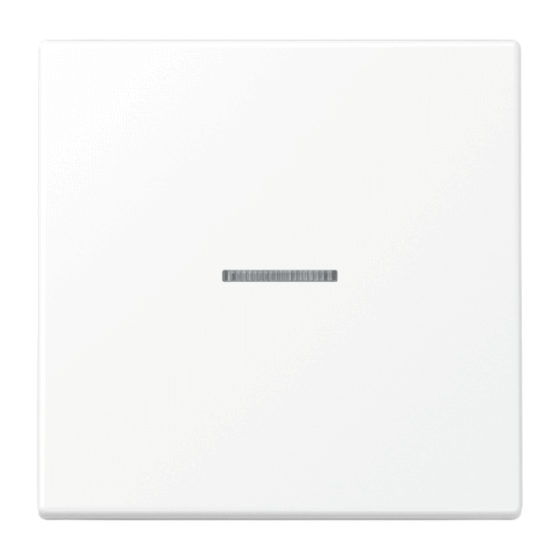 Jung LS990KO5WWM Wippe – LS, 1-fach, mit Lichtleiter, schneeweiß matt