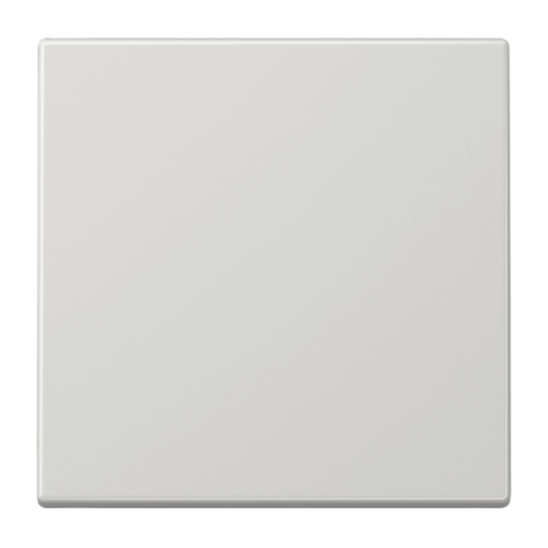 Jung LS990LG Wippe – LS, 1-fach, lichtgrau