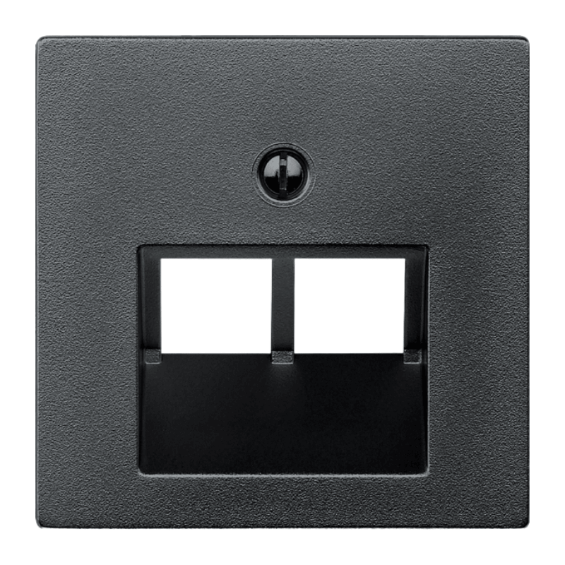 Merten 298014 Netzwerkabdeckung – System M, 2-fach, anthrazit