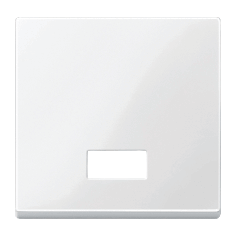 Merten 432819 Kontrollwippe – System M, 1-fach, polarweiß glänzend