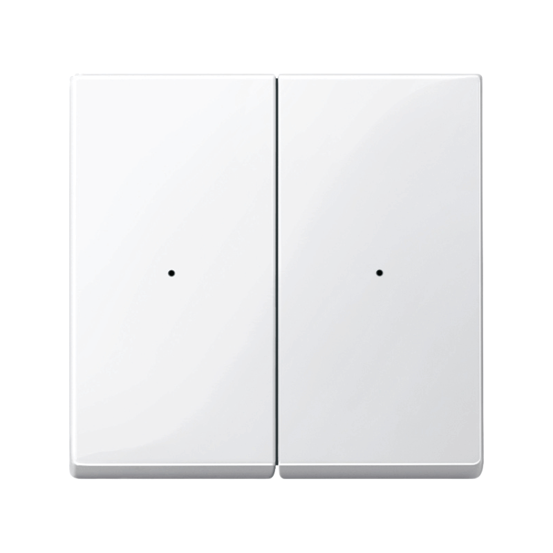 Merten MEG5220-0319 Wippe – für Taster-Modul PlusLink, System M, 2-fach, polarweiß glänzend